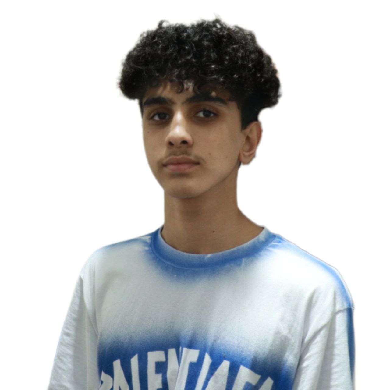 Mohammad Taha Talebi headshot
